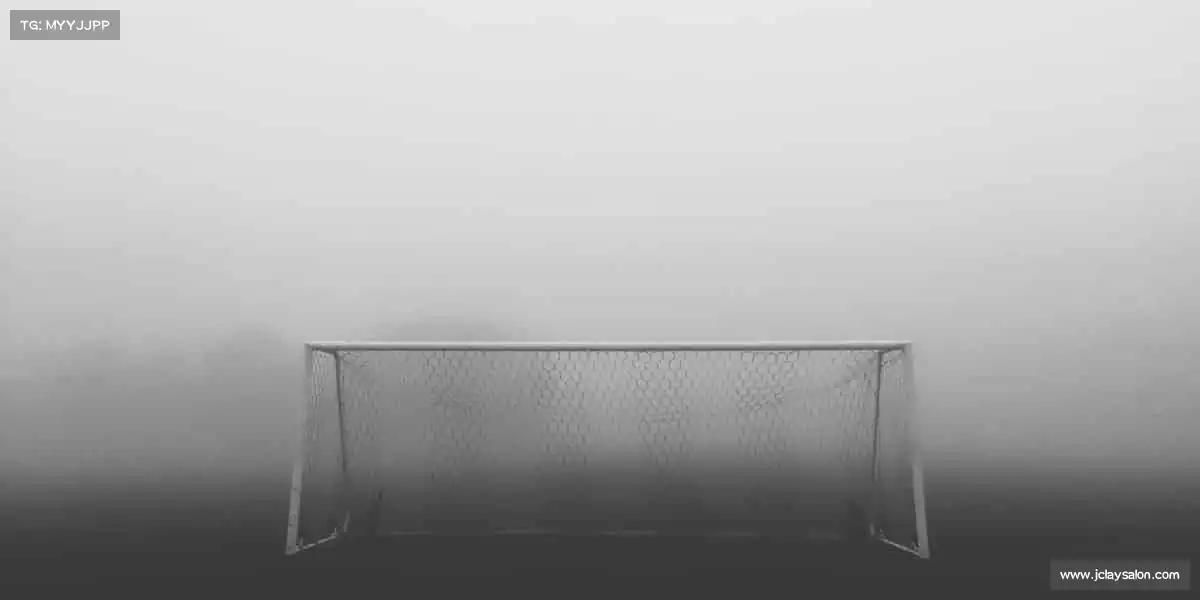 Z6人生就博官网入口——活力点燃赛场,运动成就梦想!🏃♂️💨